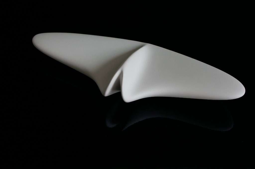 Biomimesis - Generated Object 5