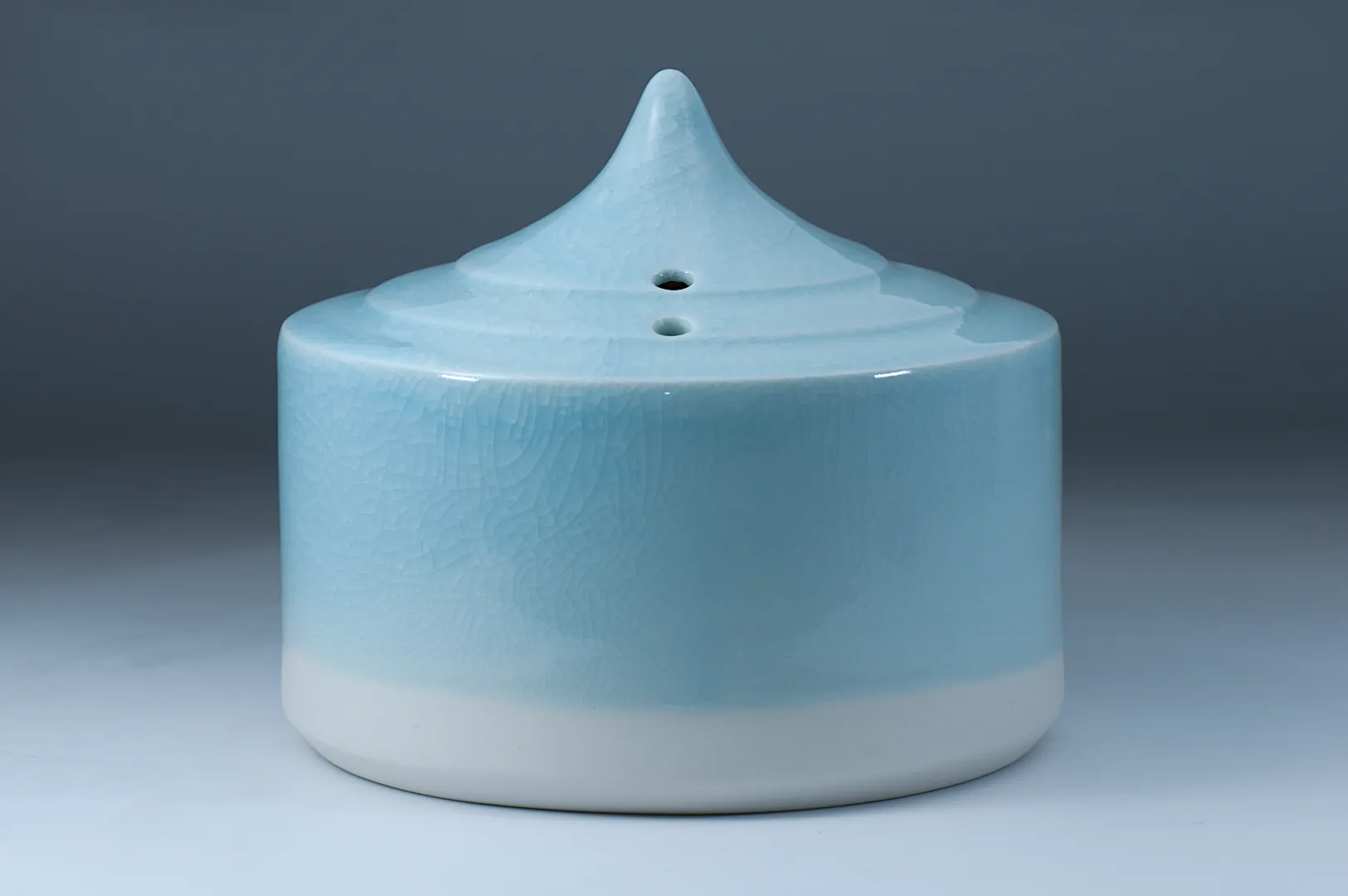 Disc Vase 1