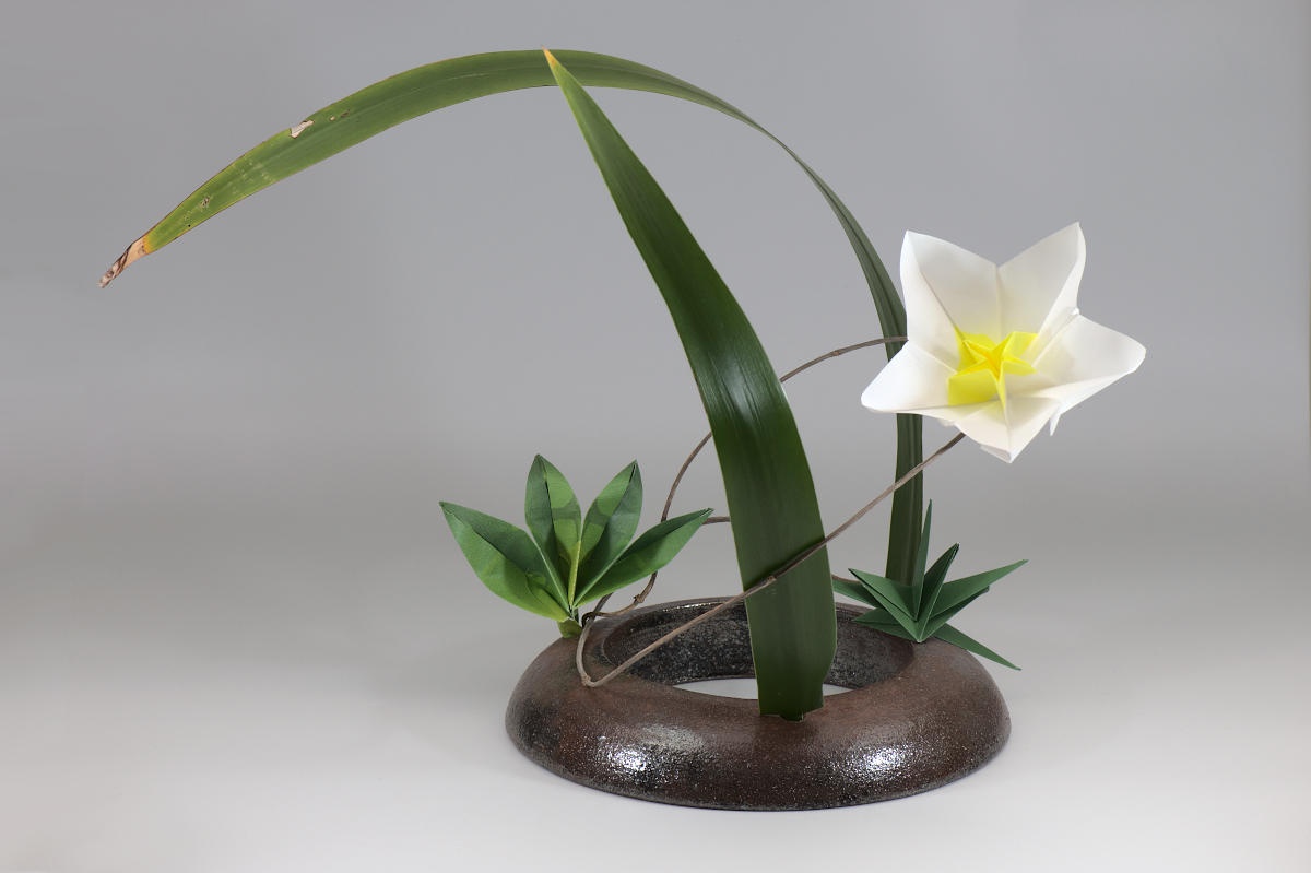 Torus 5 Origami Ikebana