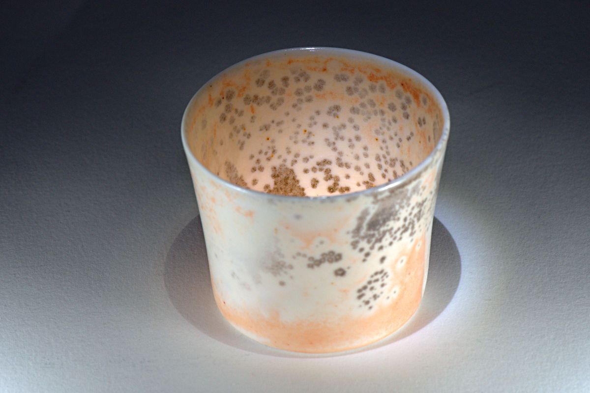 Shino Cup Medium