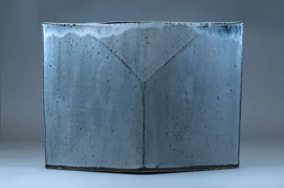 Vase Surf